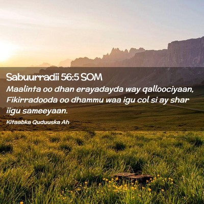 Picture 02 - Sabuurradii 56:5 SOM - Maalinta oo dhan erayadayda way qalloociyaan, - Bible Verse Picture