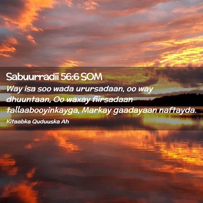 Picture 02 - Sabuurradii 56:6 SOM - Way isa soo wada urursadaan, oo way dhuuntaan, Oo - Bible Verse Picture