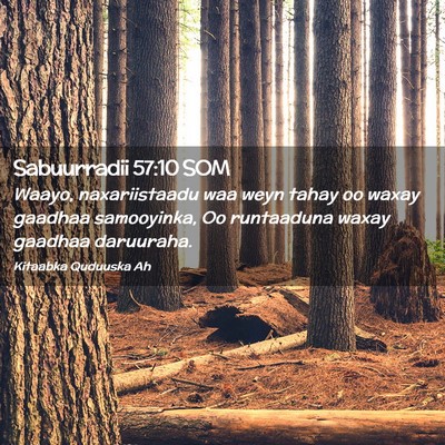 Picture 02 - Sabuurradii 57:10 SOM - Waayo, naxariistaadu waa weyn tahay oo waxay - Bible Verse Picture