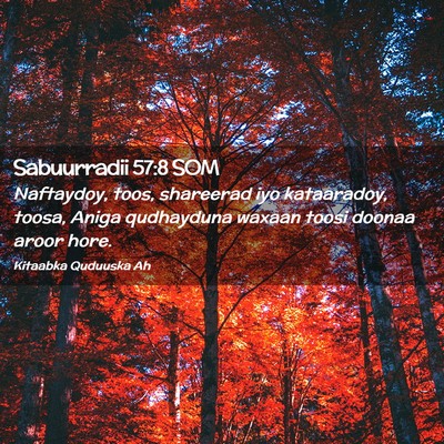 Picture 02 - Sabuurradii 57:8 SOM - Naftaydoy, toos, shareerad iyo kataaradoy, toosa, - Bible Verse Picture