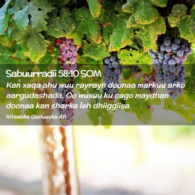 Picture 02 - Sabuurradii 58:10 SOM - Kan xaqa ahu wuu rayrayn doonaa markuu arko - Bible Verse Picture