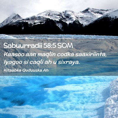 Picture 02 - Sabuurradii 58:5 SOM - Kaasoo aan maqlin codka saaxiriinta, Iyagoo si - Bible Verse Picture