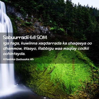 Picture 02 - Sabuurradii 6:8 SOM - Iga taga, kuwiinna xaqdarrada ka shaqeeya oo - Bible Verse Picture