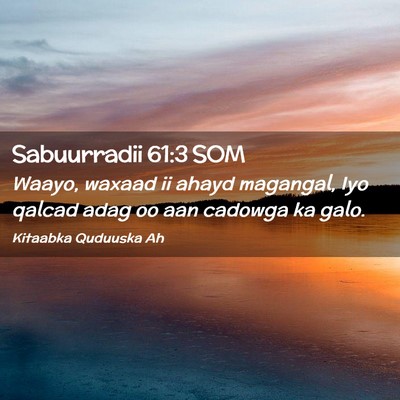 Picture 02 - Sabuurradii 61:3 SOM - Waayo, waxaad ii ahayd magangal, Iyo qalcad adag - Bible Verse Picture