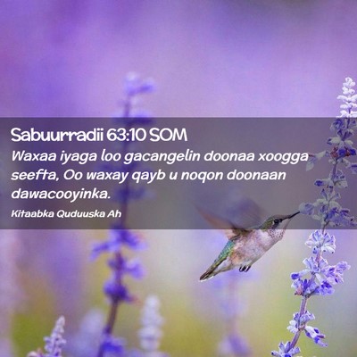 Picture 02 - Sabuurradii 63:10 SOM - Waxaa iyaga loo gacangelin doonaa xoogga seefta, - Bible Verse Picture