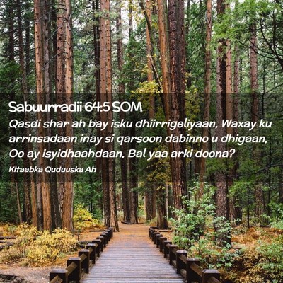Picture 02 - Sabuurradii 64:5 SOM - Qasdi shar ah bay isku dhiirrigeliyaan, Waxay ku - Bible Verse Picture