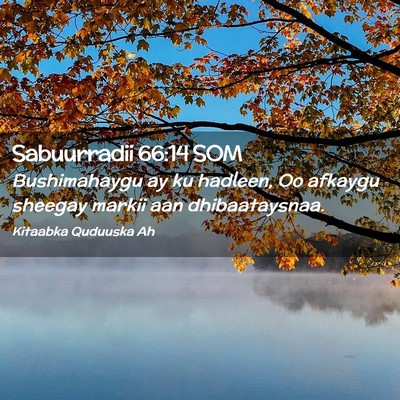 Picture 02 - Sabuurradii 66:14 SOM - Bushimahaygu ay ku hadleen, Oo afkaygu sheegay - Bible Verse Picture