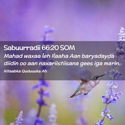 Picture 02 - Sabuurradii 66:20 SOM - Mahad waxaa leh Ilaaha Aan baryadayda diidin oo - Bible Verse Picture