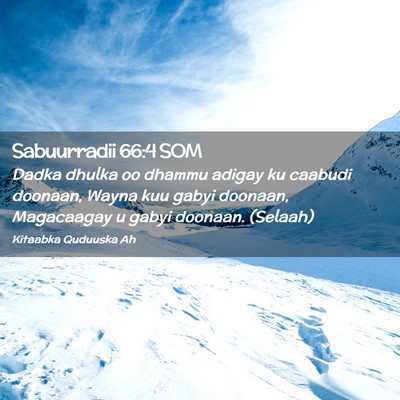 Picture 02 - Sabuurradii 66:4 SOM - Dadka dhulka oo dhammu adigay ku caabudi doonaan, - Bible Verse Picture