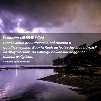 Picture 02 - Sabuurradii 68:16 SOM - Buurihiinnan dhaadheerow, bal maxaad u - Bible Verse Picture