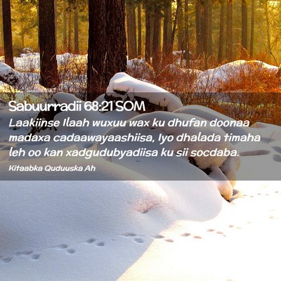 Picture 02 - Sabuurradii 68:21 SOM - Laakiinse Ilaah wuxuu wax ku dhufan doonaa madaxa - Bible Verse Picture