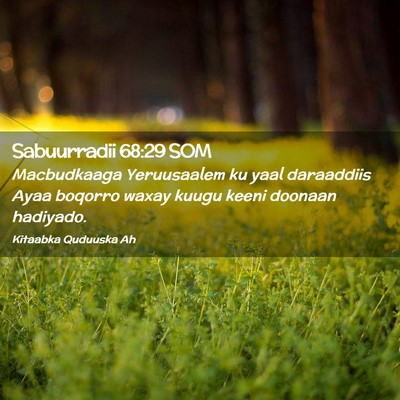 Picture 02 - Sabuurradii 68:29 SOM - Macbudkaaga Yeruusaalem ku yaal daraaddiis Ayaa - Bible Verse Picture