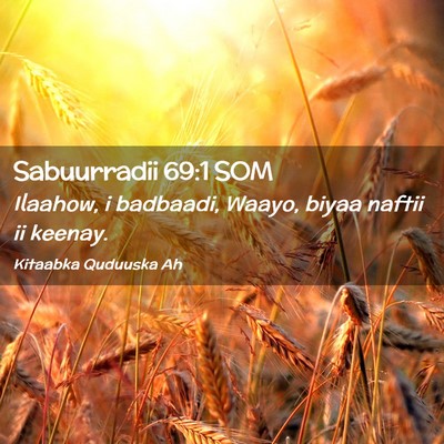 Picture 02 - Sabuurradii 69:1 SOM - Ilaahow, i badbaadi, Waayo, biyaa naftii ii - Bible Verse Picture