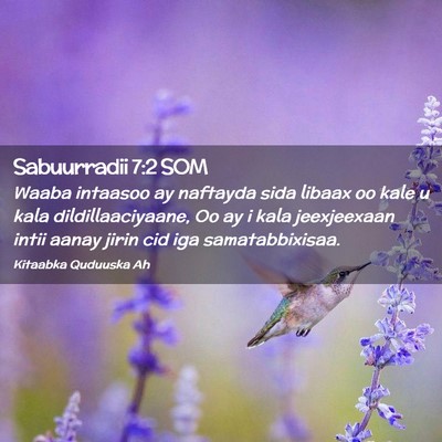 Picture 02 - Sabuurradii 7:2 SOM - Waaba intaasoo ay naftayda sida libaax oo kale u - Bible Verse Picture