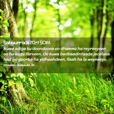 Picture 02 - Sabuurradii 70:4 SOM - Kuwa adiga ku doondoona oo dhammu ha reyreeyeen - Bible Verse Picture