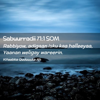Picture 02 - Sabuurradii 71:1 SOM - Rabbiyow, adigaan isku kaa halleeyaa, Yaanan - Bible Verse Picture