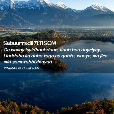 Picture 02 - Sabuurradii 71:11 SOM - Oo waxay isyidhaahdaan, Ilaah baa dayriyey, - Bible Verse Picture