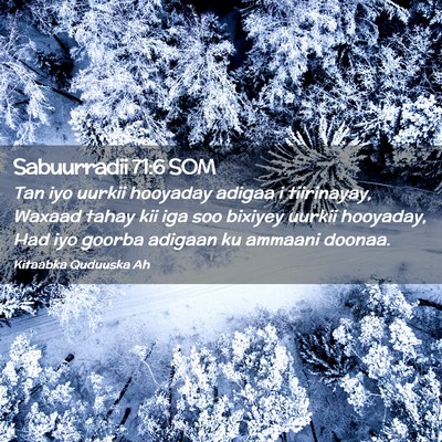 Picture 02 - Sabuurradii 71:6 SOM - Tan iyo uurkii hooyaday adigaa i tiirinayay, - Bible Verse Picture