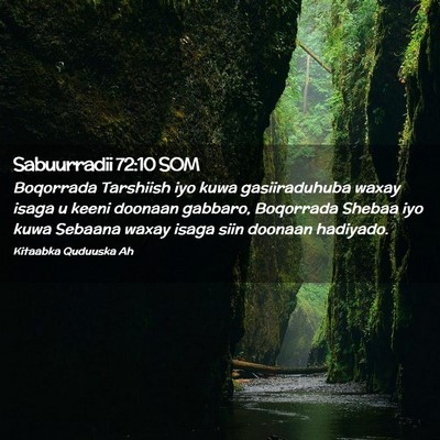 Picture 02 - Sabuurradii 72:10 SOM - Boqorrada Tarshiish iyo kuwa gasiiraduhuba waxay - Bible Verse Picture
