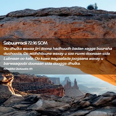 Picture 02 - Sabuurradii 72:16 SOM - Oo dhulka waxaa jiri doona hadhuudh badan xagga - Bible Verse Picture