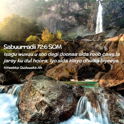 Picture 02 - Sabuurradii 72:6 SOM - Isagu wuxuu u soo degi doonaa sida roob caws la - Bible Verse Picture
