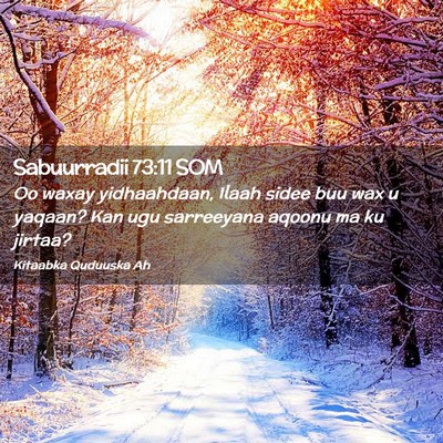 Picture 02 - Sabuurradii 73:11 SOM - Oo waxay yidhaahdaan, Ilaah sidee buu wax u - Bible Verse Picture