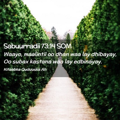 Picture 02 - Sabuurradii 73:14 SOM - Waayo, maalintii oo dhan waa lay dhibayay, Oo - Bible Verse Picture