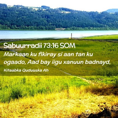 Picture 02 - Sabuurradii 73:16 SOM - Markaan ku fikiray si aan tan ku ogaado, Aad bay - Bible Verse Picture