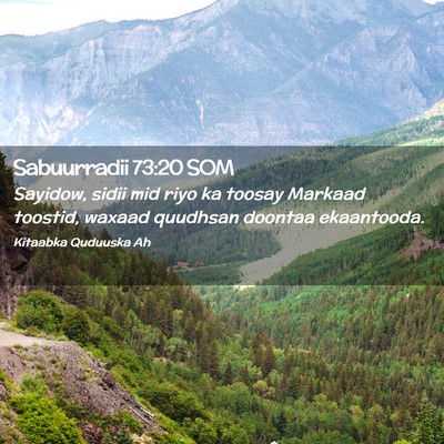 Picture 02 - Sabuurradii 73:20 SOM - Sayidow, sidii mid riyo ka toosay Markaad - Bible Verse Picture