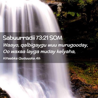 Picture 02 - Sabuurradii 73:21 SOM - Waayo, qalbigaygu wuu murugooday, Oo waxaa layga - Bible Verse Picture