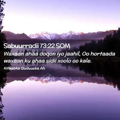 Picture 02 - Sabuurradii 73:22 SOM - Waxaan ahaa doqon iyo jaahil, Oo hortaada waxaan - Bible Verse Picture