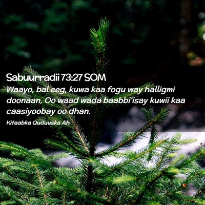 Picture 02 - Sabuurradii 73:27 SOM - Waayo, bal eeg, kuwa kaa fogu way halligmi - Bible Verse Picture