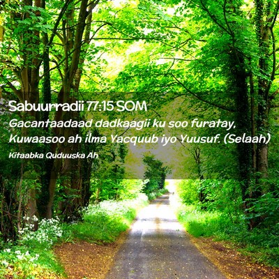 Picture 02 - Sabuurradii 77:15 SOM - Gacantaadaad dadkaagii ku soo furatay, Kuwaasoo - Bible Verse Picture