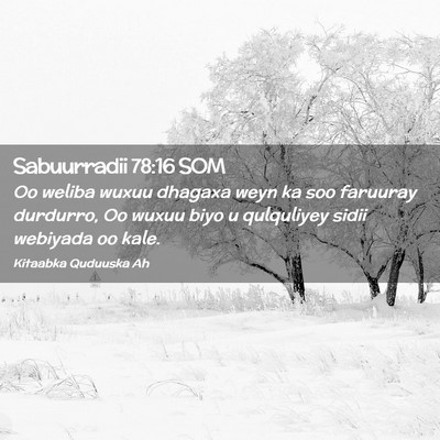 Picture 02 - Sabuurradii 78:16 SOM - Oo weliba wuxuu dhagaxa weyn ka soo faruuray - Bible Verse Picture