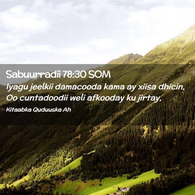 Picture 02 - Sabuurradii 78:30 SOM - Iyagu jeelkii damacooda kama ay xiisa dhicin, Oo - Bible Verse Picture