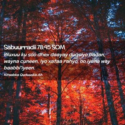 Picture 02 - Sabuurradii 78:45 SOM - Wuxuu ku soo dhex daayay duqsiyo badan, wayna - Bible Verse Picture
