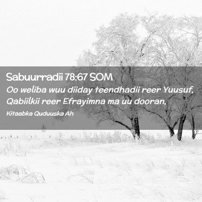 Picture 02 - Sabuurradii 78:67 SOM - Oo weliba wuu diiday teendhadii reer Yuusuf, - Bible Verse Picture