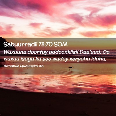 Picture 02 - Sabuurradii 78:70 SOM - Wuxuuna doortay addoonkiisii Daa'uud, Oo wuxuu - Bible Verse Picture