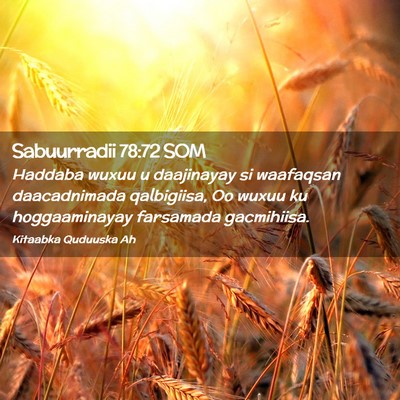 Picture 02 - Sabuurradii 78:72 SOM - Haddaba wuxuu u daajinayay si waafaqsan - Bible Verse Picture