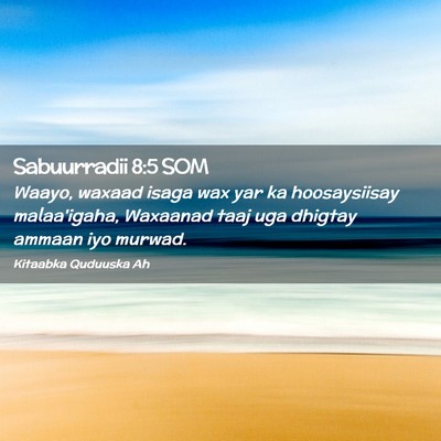 Picture 02 - Sabuurradii 8:5 SOM - Waayo, waxaad isaga wax yar ka hoosaysiisay - Bible Verse Picture