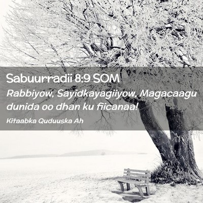 Picture 02 - Sabuurradii 8:9 SOM - Rabbiyow, Sayidkayagiiyow, Magacaagu dunida oo - Bible Verse Picture