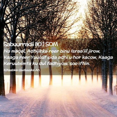 Picture 02 - Sabuurradii 80:1 SOM - Na maqal, Adhijirka reer binu Israa'iil jirow, - Bible Verse Picture