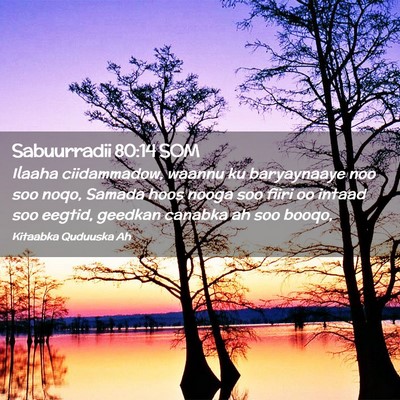 Picture 02 - Sabuurradii 80:14 SOM - Ilaaha ciidammadow, waannu ku baryaynaaye noo soo - Bible Verse Picture