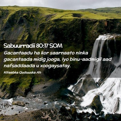 Picture 02 - Sabuurradii 80:17 SOM - Gacantaadu ha kor saarnaato ninka gacantaada - Bible Verse Picture