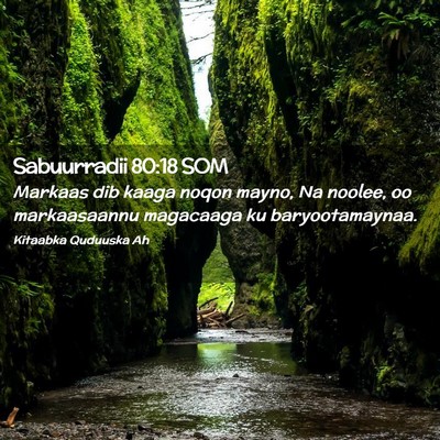 Picture 02 - Sabuurradii 80:18 SOM - Markaas dib kaaga noqon mayno, Na noolee, oo - Bible Verse Picture