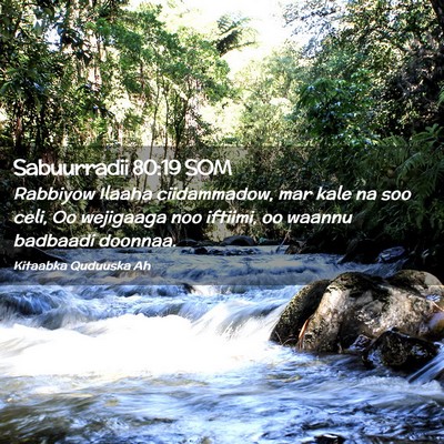 Picture 02 - Sabuurradii 80:19 SOM - Rabbiyow Ilaaha ciidammadow, mar kale na soo - Bible Verse Picture