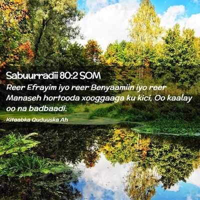 Picture 02 - Sabuurradii 80:2 SOM - Reer Efrayim iyo reer Benyaamiin iyo reer Manaseh - Bible Verse Picture