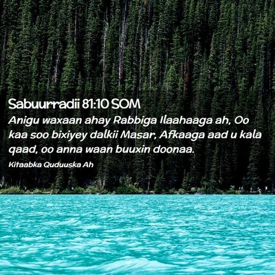 Picture 02 - Sabuurradii 81:10 SOM - Anigu waxaan ahay Rabbiga Ilaahaaga ah, Oo kaa - Bible Verse Picture