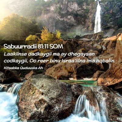 Picture 02 - Sabuurradii 81:11 SOM - Laakiinse dadkaygii ma ay dhegaysan codkaygii, Oo - Bible Verse Picture