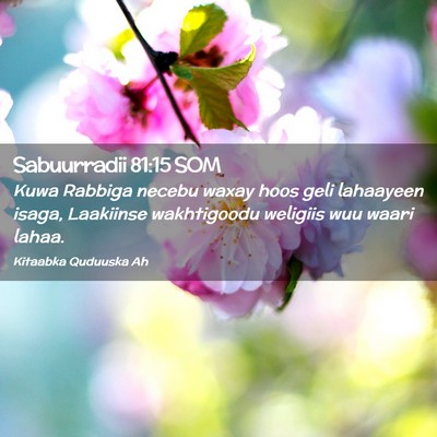 Picture 02 - Sabuurradii 81:15 SOM - Kuwa Rabbiga necebu waxay hoos geli lahaayeen - Bible Verse Picture
